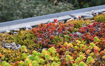the cost of Middleton Of Dalrulzian green roof installation