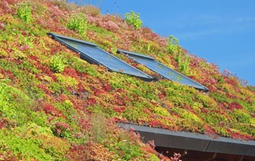Middleton Of Dalrulzian living roof systems