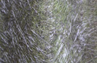 Middleton Of Dalrulzian fibreglass roof work